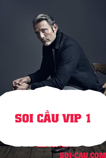 Soi-cau-vip-1